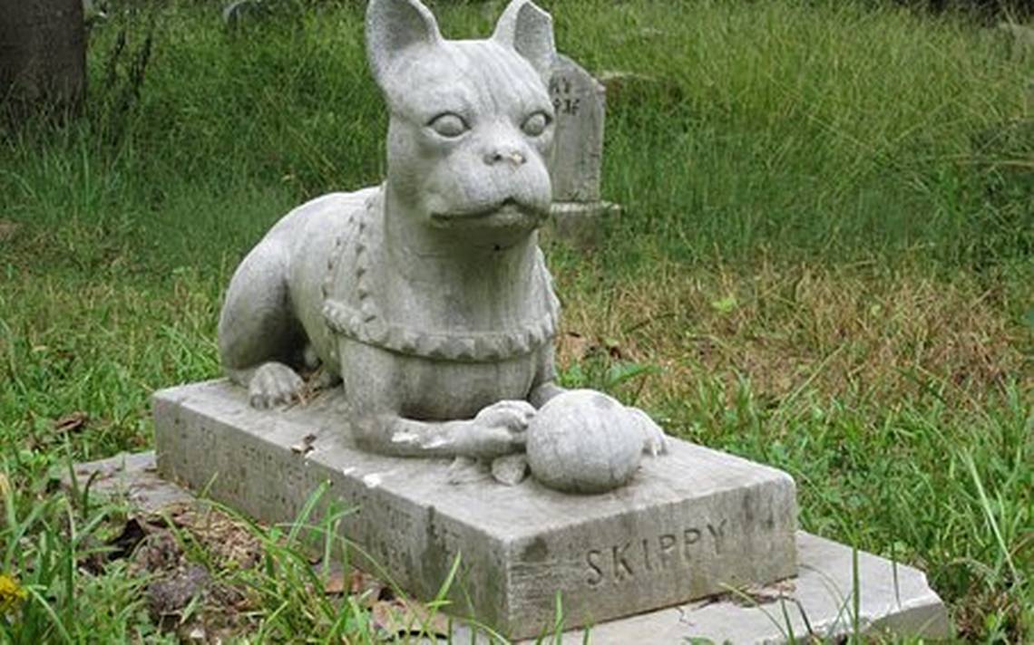 Día De Muertos Para Mascotas: ¿cuándo Es Y Qué Se Les Pone De Ofrenda ...